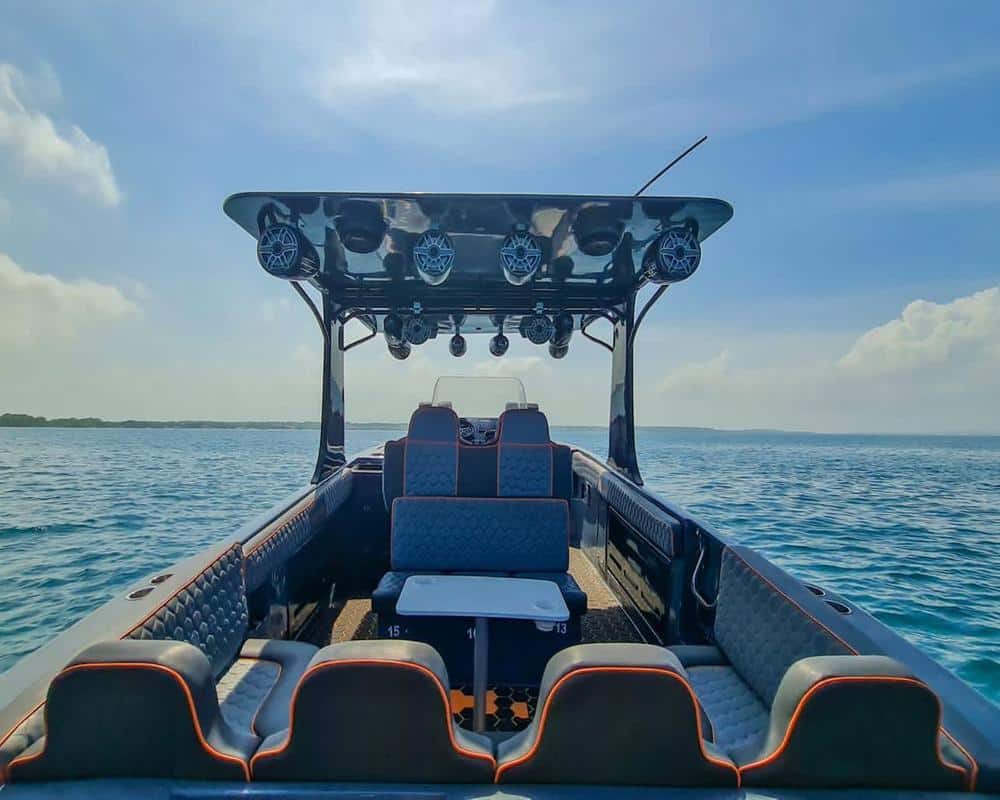 Lancha Black Shepp - Image 21